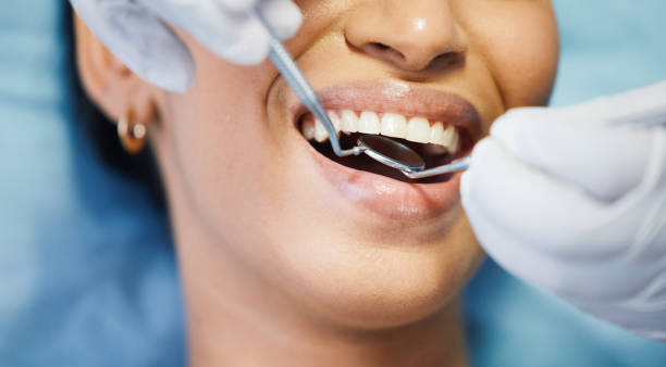 Best Urgent Dental Care in Dover, FL