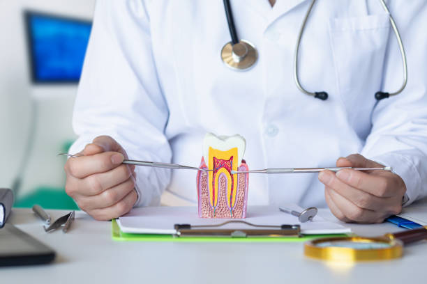 Best Emergency Tooth Extraction in Dover, FL